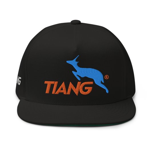 1 CLASSIC Gorra 3D LOGO 2COLORS