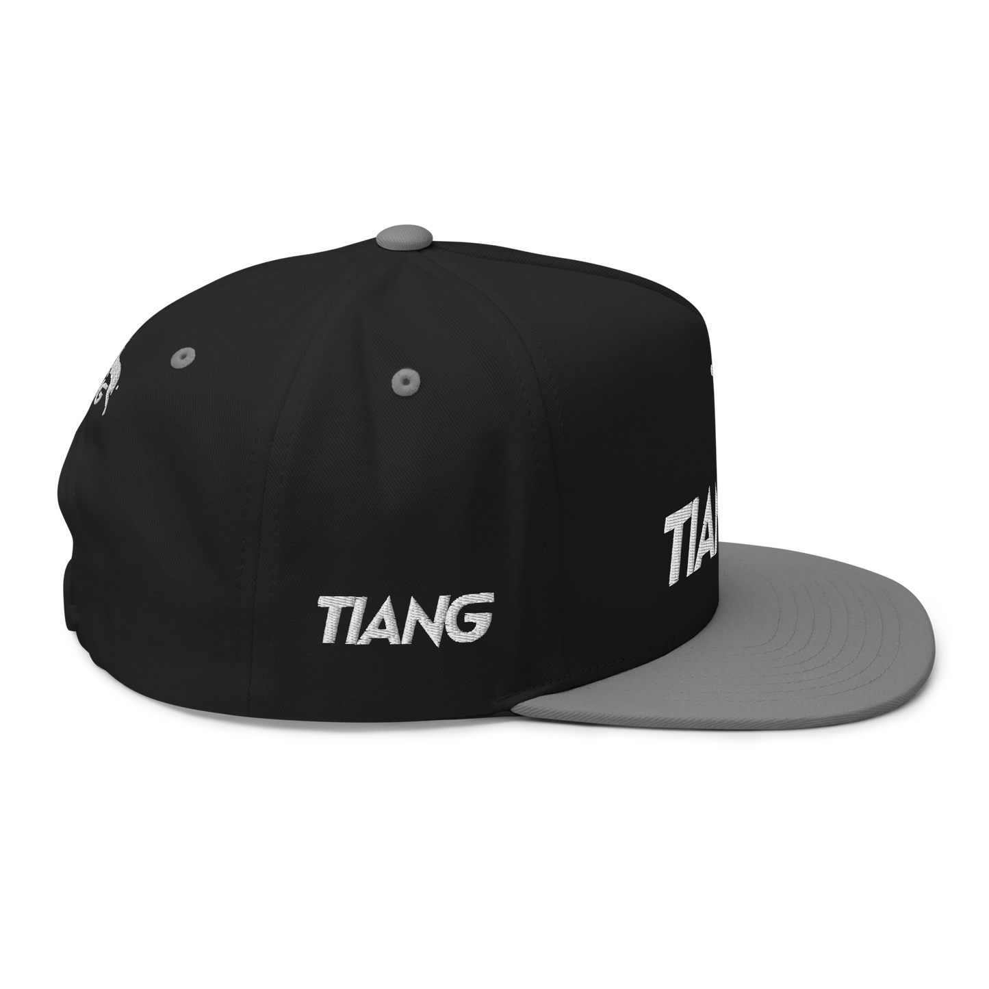 1 CLASSIC Gorra 3D LOGO LETTER LAT