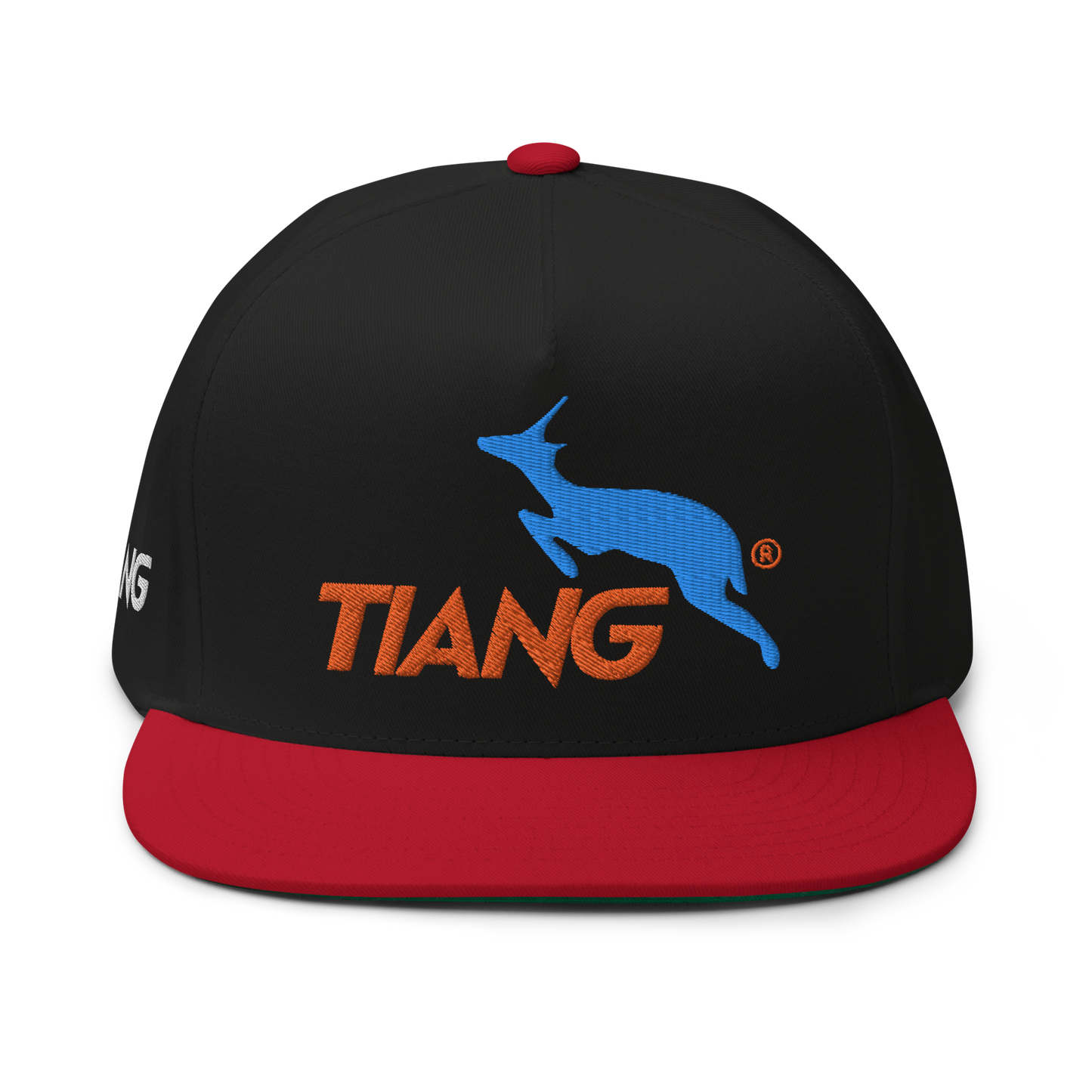 1 CLASSIC Gorra 3D LOGO 2COLORS