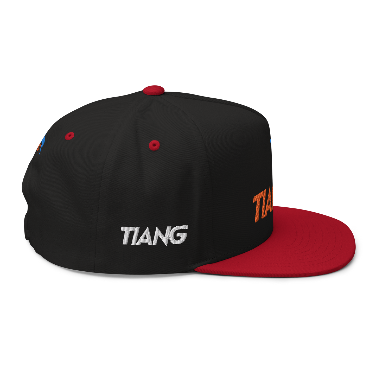 1 CLASSIC Gorra 3D LOGO 2COLORS