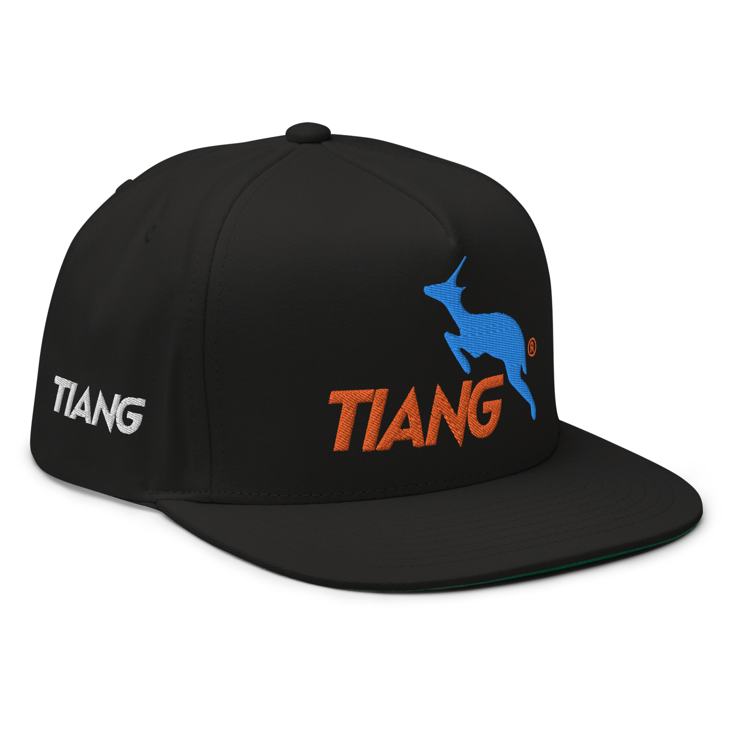 1 CLASSIC Gorra 3D LOGO 2COLORS