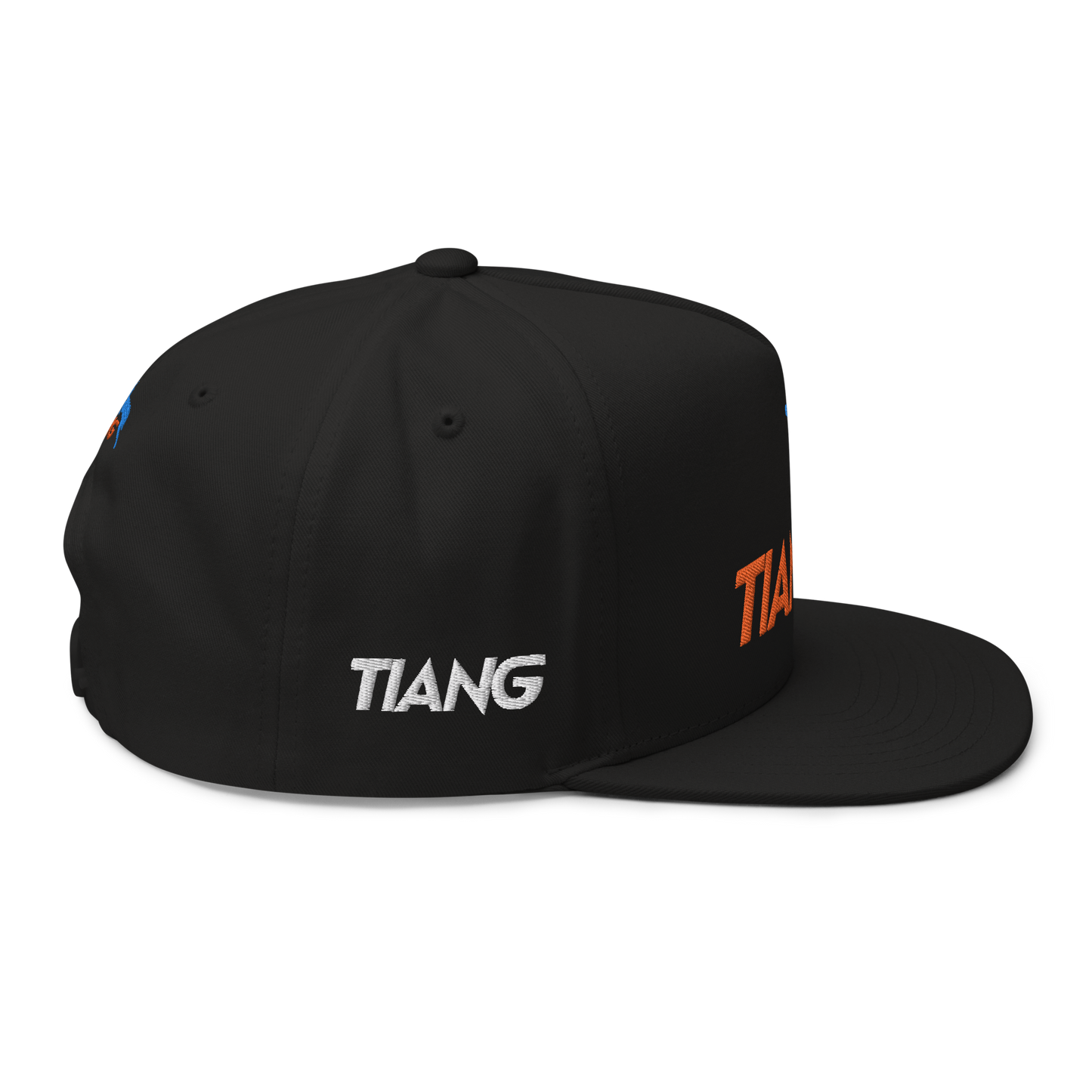 1 CLASSIC Gorra 3D LOGO 2COLORS