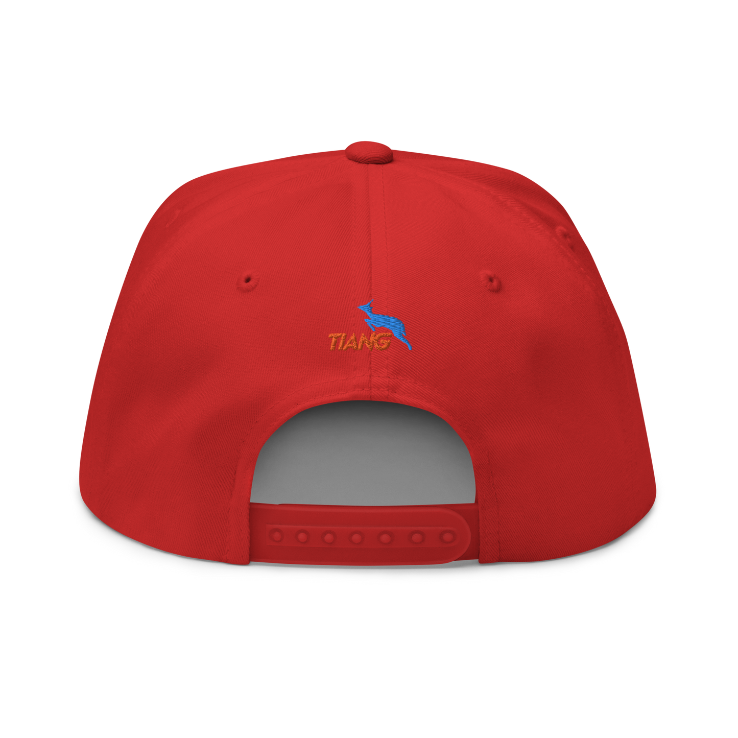 1 CLASSIC Gorra 3D LOGO 2COLORS