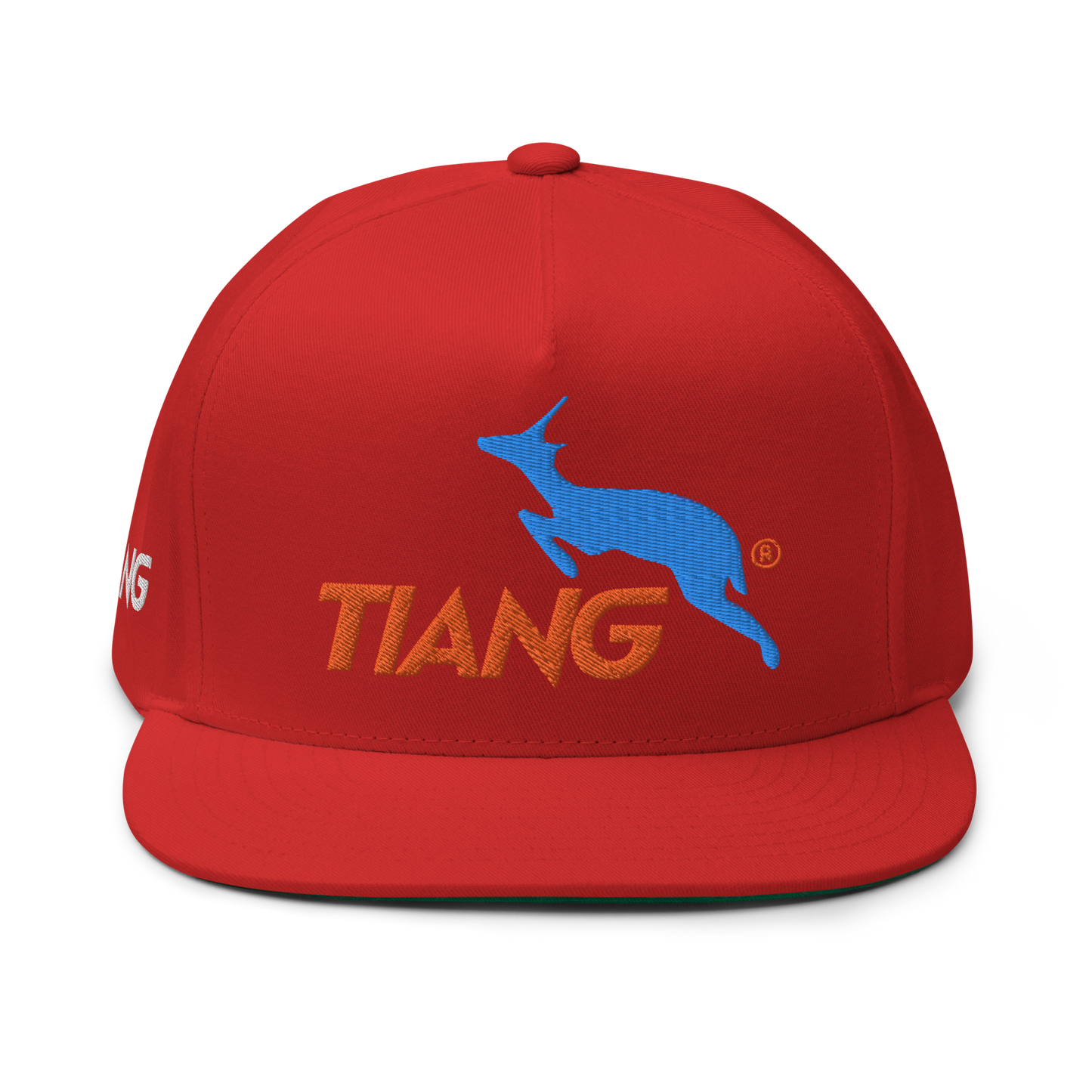 1 CLASSIC Gorra 3D LOGO 2COLORS