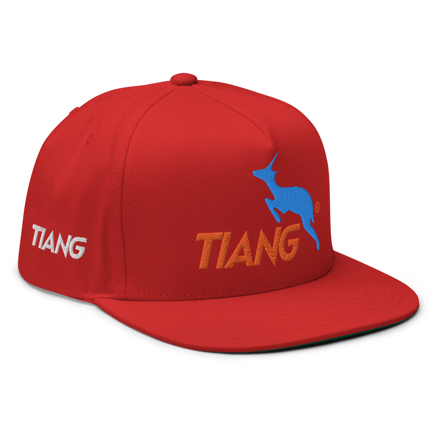 1 CLASSIC Gorra 3D LOGO 2COLORS