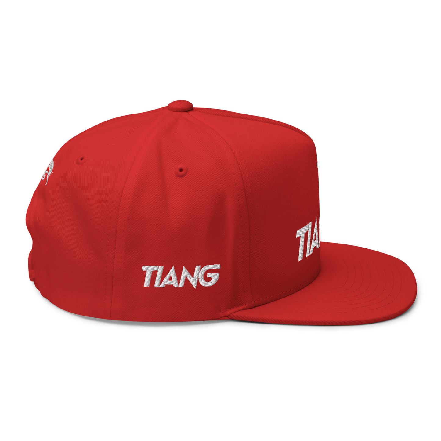 1 CLASSIC Gorra 3D LOGO LETTER LAT