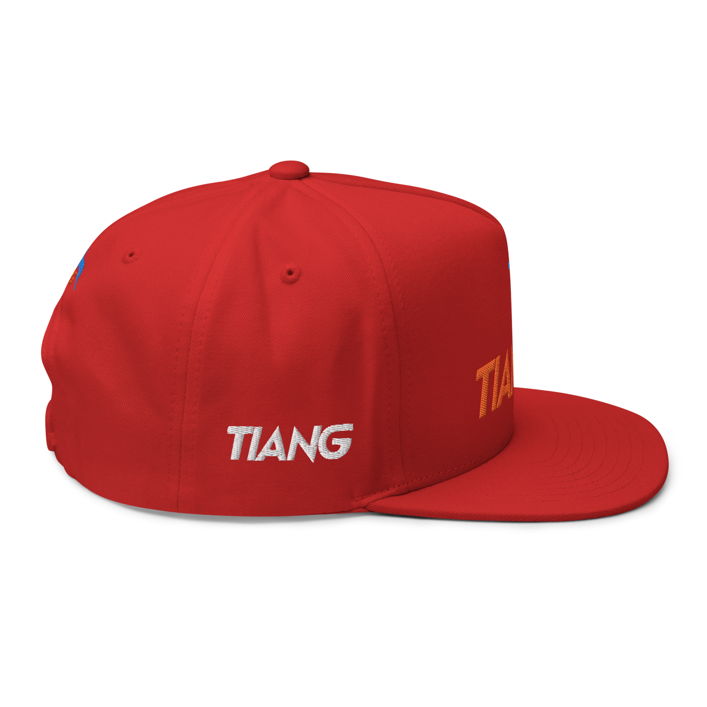 1 CLASSIC Gorra 3D LOGO 2COLORS