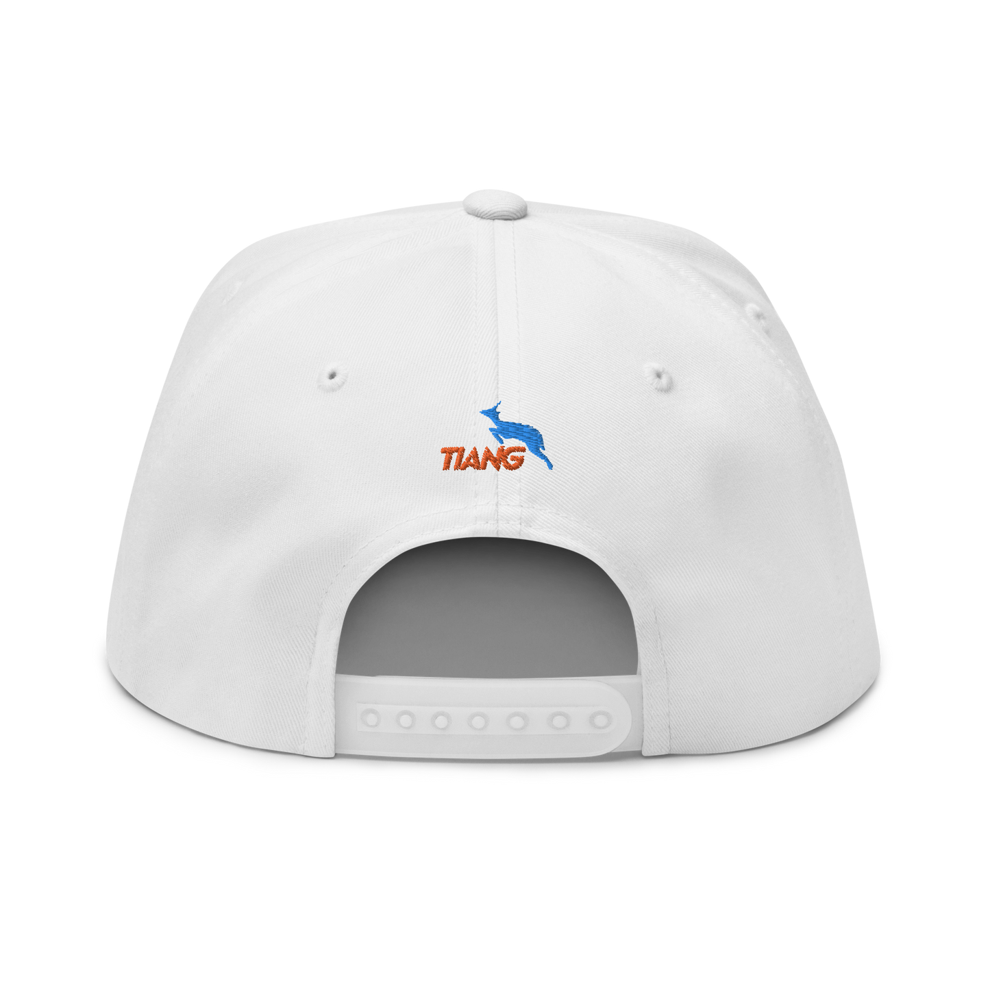 1 CLASSIC Gorra 3D LOGO 2COLORS