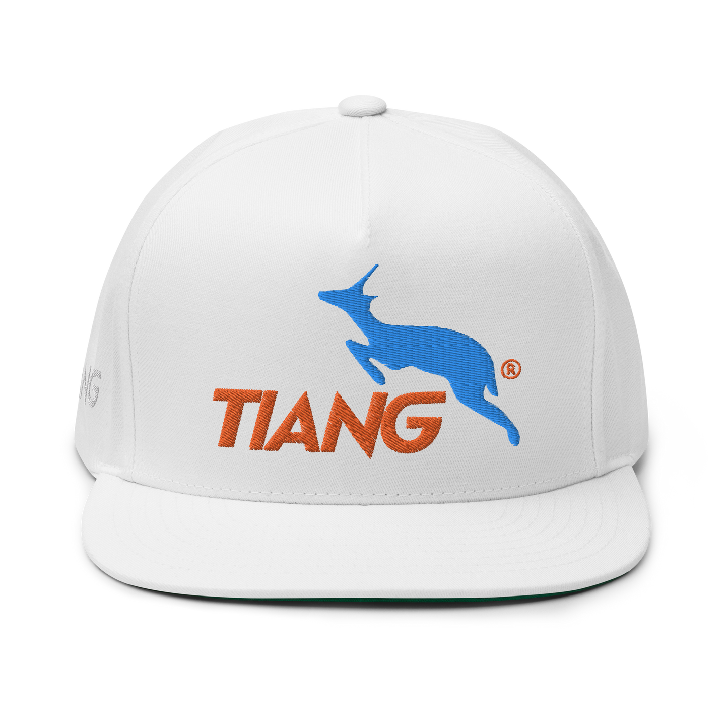 1 CLASSIC Gorra 3D LOGO 2COLORS