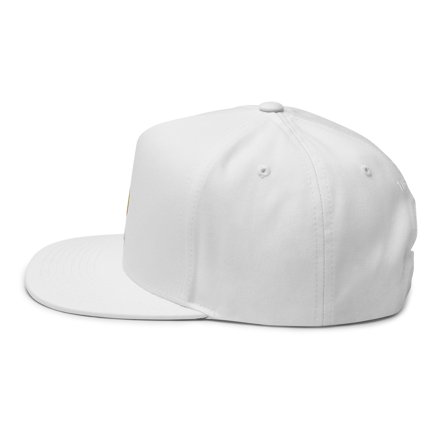 1 SUMM24 CLASSIC Gorra DUCK