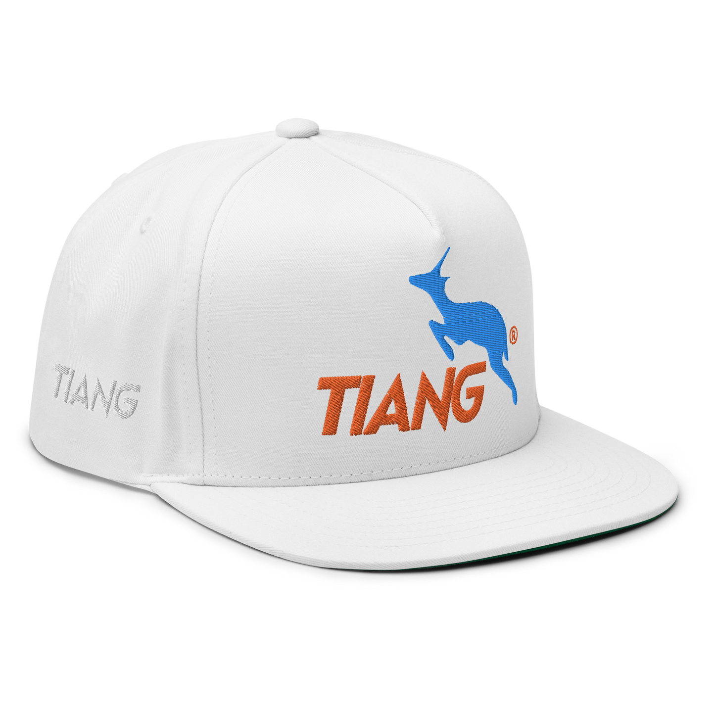 1 CLASSIC Gorra 3D LOGO 2COLORS