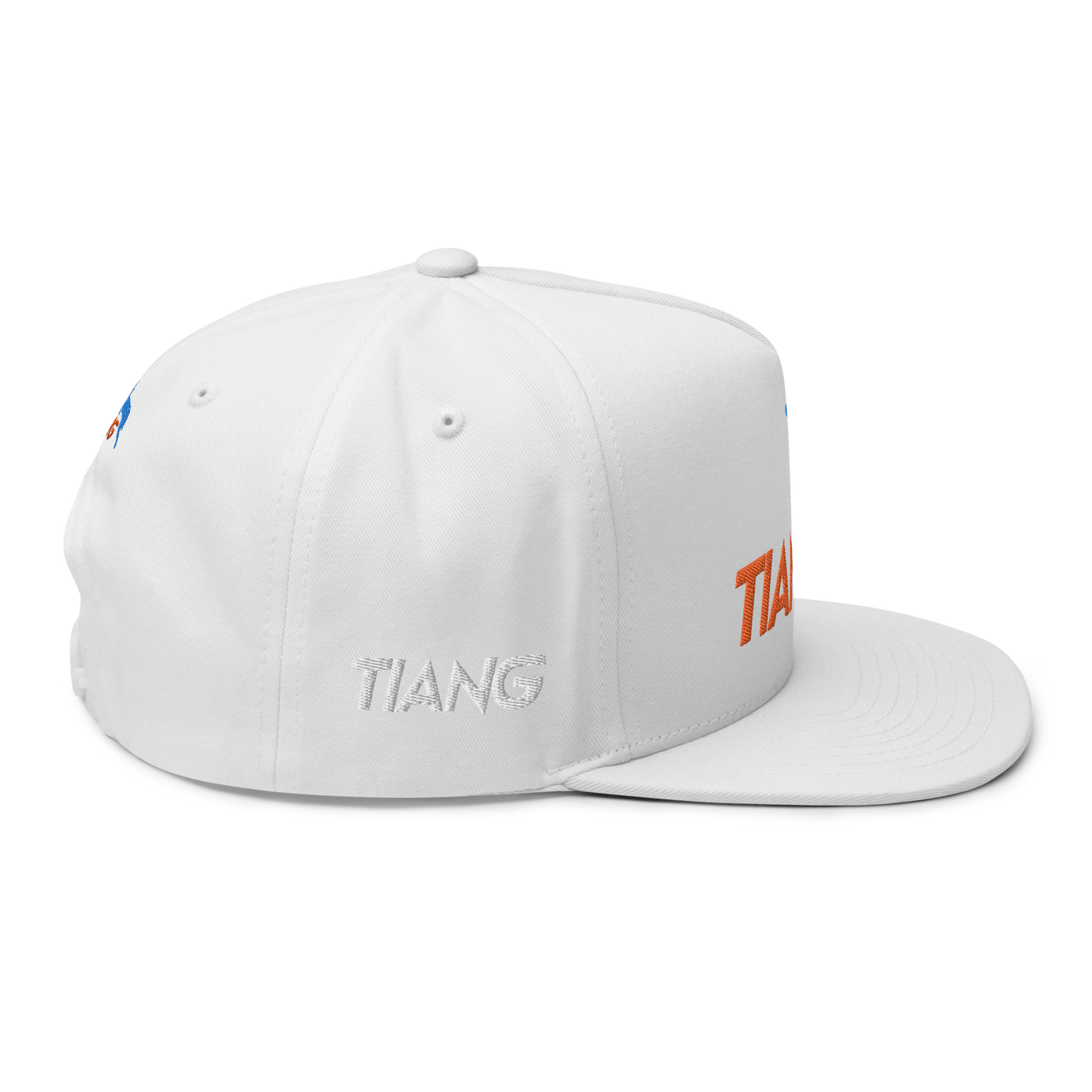 1 CLASSIC Gorra 3D LOGO 2COLORS